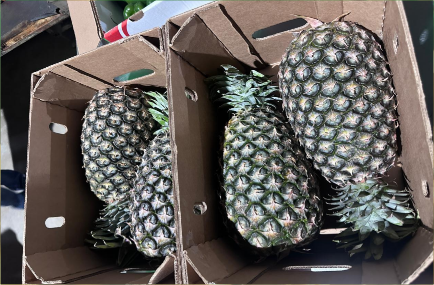 pineaple